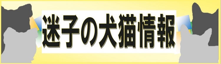 迷子の犬猫情報