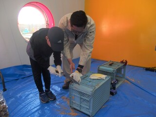 中標津町木育木工教室