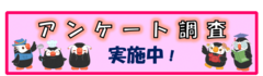 アンケート調査実施中