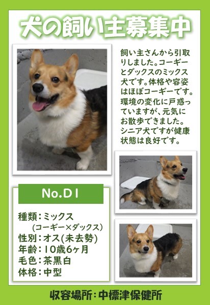 D1ポスター (JPG 70.4KB)
