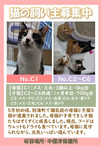 C1~C6ポスター (JPG 79.3KB)