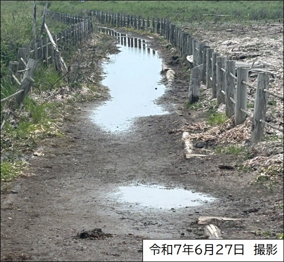 野付半島遊歩道 (JPG 151KB)