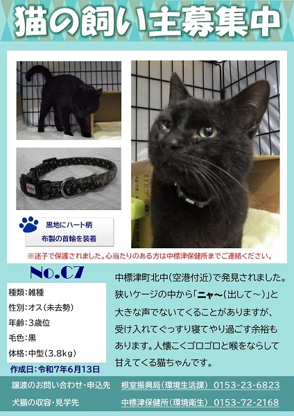 飼い主募集中猫C7のポスター