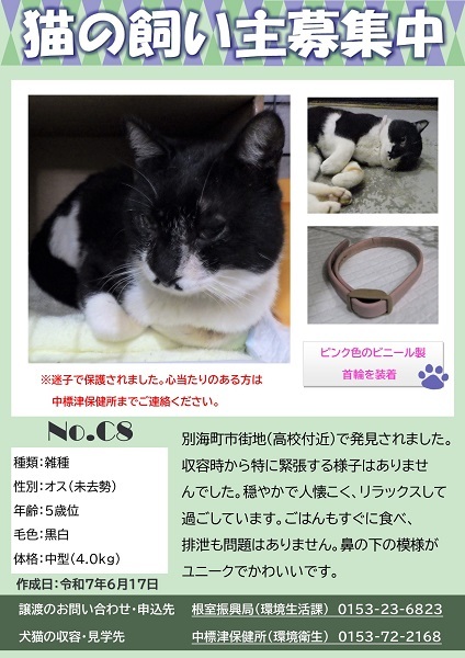 飼い主募集中猫C8のポスター