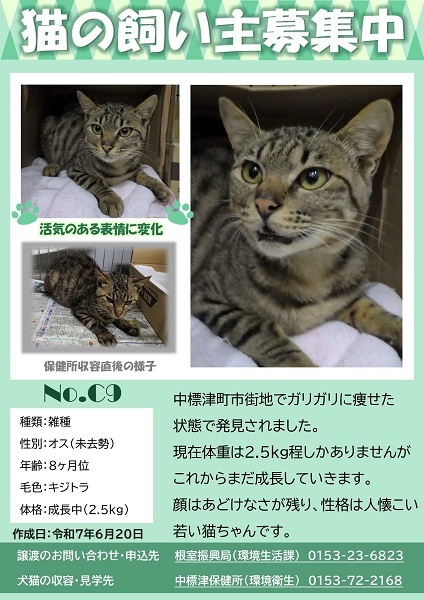 飼い主募集中猫C9のポスター