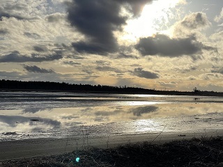 IMG_6659.JPG