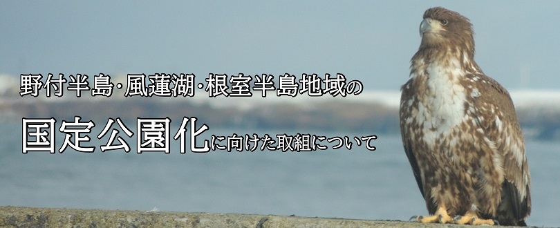 野付半島・風蓮湖・根室半島地域の国定公園化に向けた取組について