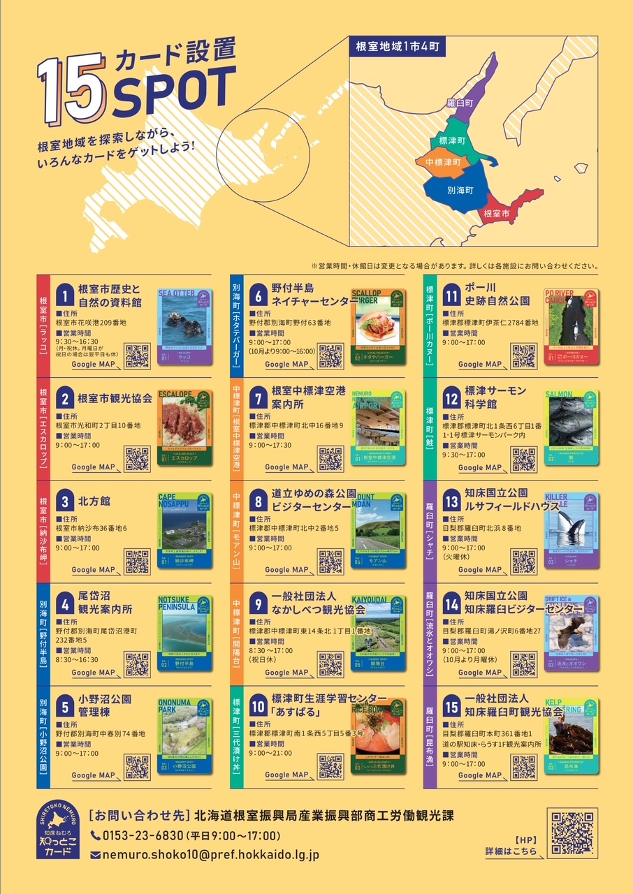 チラシ裏面