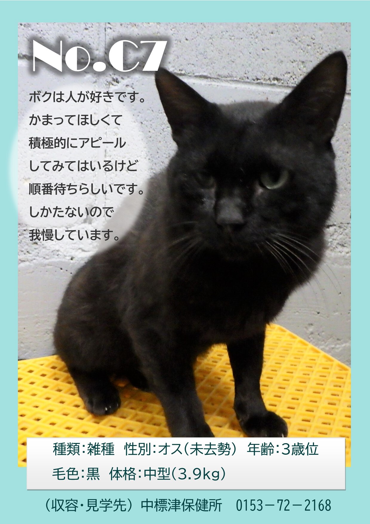 C7part2 (JPG 355KB)