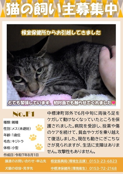 飼い主募集中猫F1のポスター