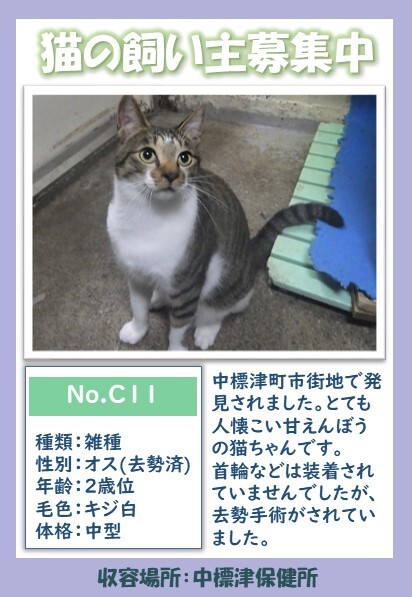 C11ポスター (JPG 67.4KB)
