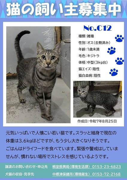 飼い主募集中猫C12のポスター