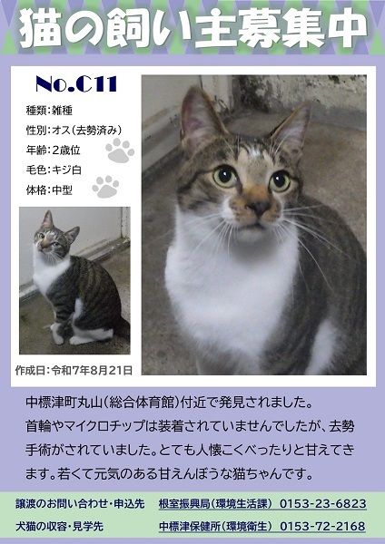 飼い主募集中猫C11のポスター