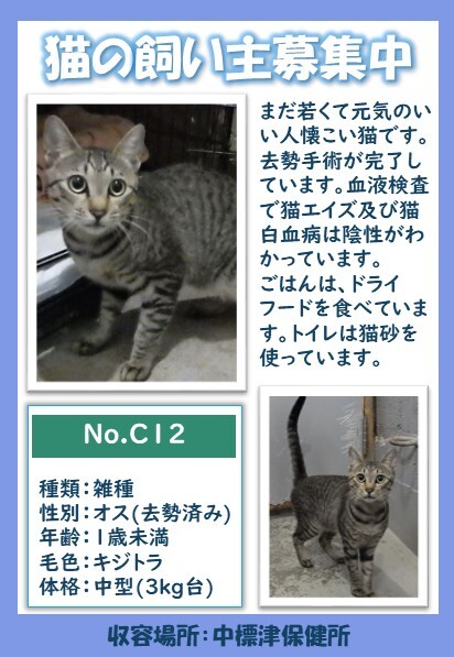 C12ポスター (JPG 74.5KB)