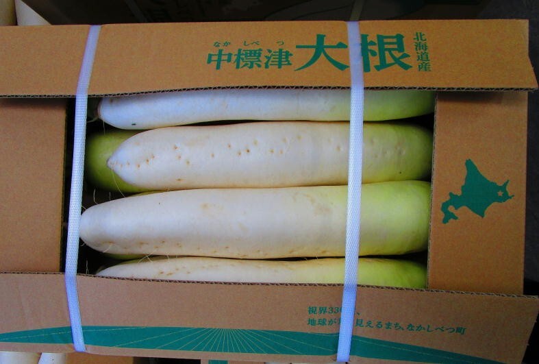 中標津「だいこん」出荷中です！！ - 根室振興局産業振興部根室農業