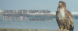 春国岱への寄附金募集について ～「野鳥の聖地」を守る活動に貢献しませんか？～（根室振興局・地域政策課のページへリンク）