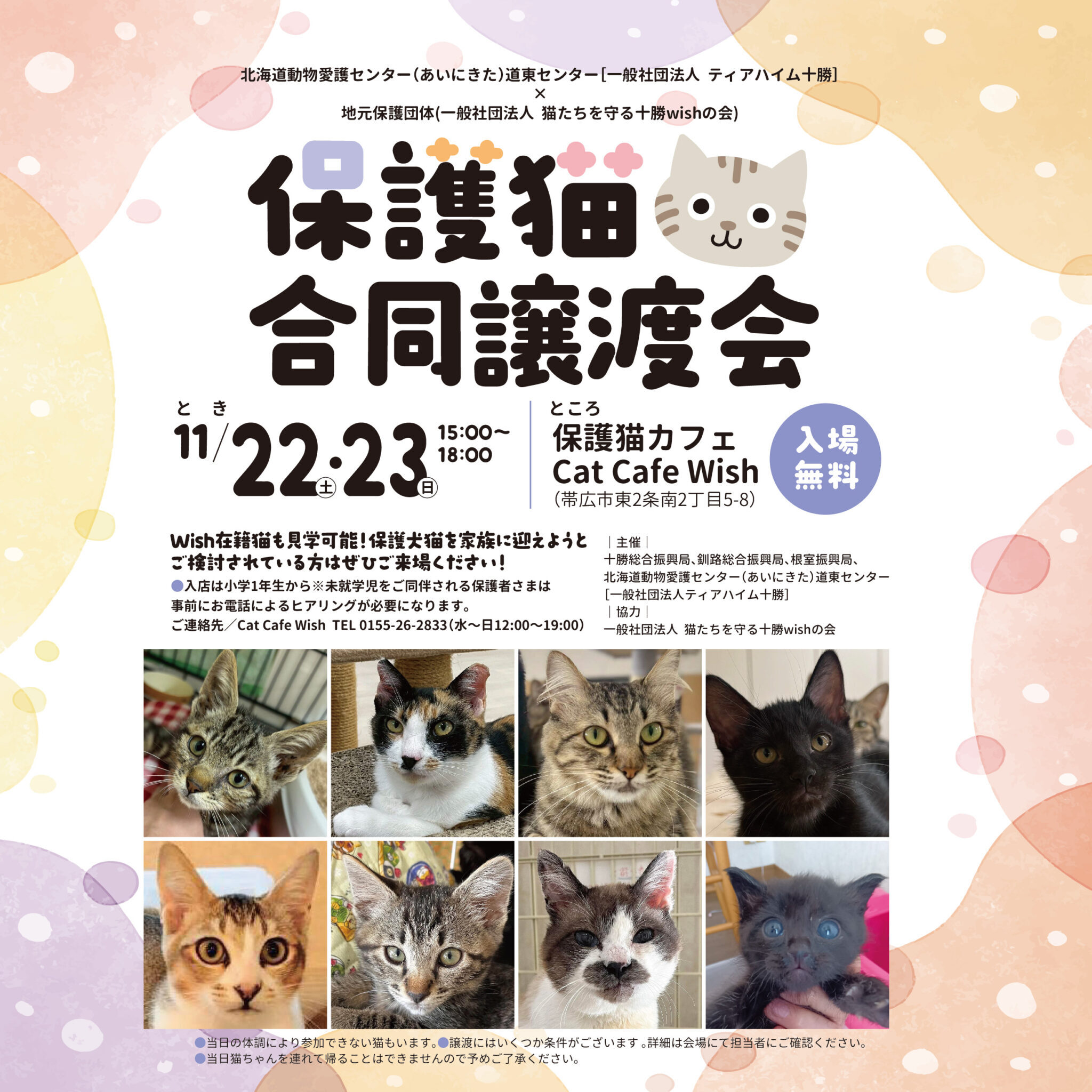 11月22日23日合同譲渡会 (JPG 605KB)