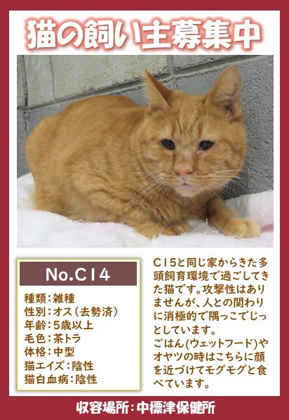 C14ポスター2 (JPG 78.5KB)