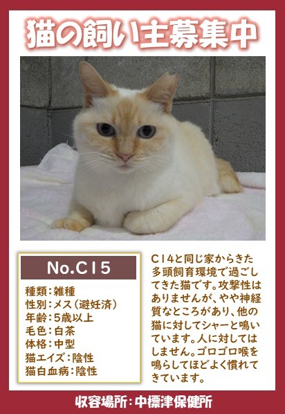 C15ポスター2 (JPG 73.9KB)