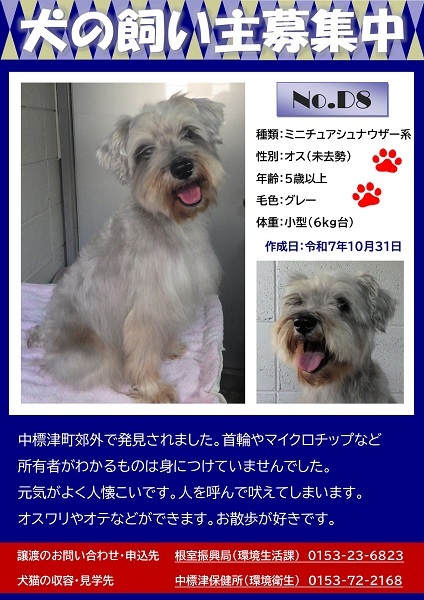 飼い主募集中犬D8のポスター