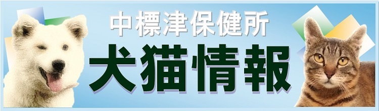 犬猫情報