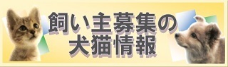 飼い主募集の犬猫情報