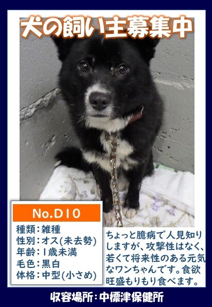 D10ポスター (JPG 75.8KB)