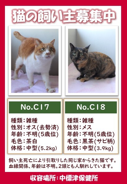 C17C18ポスター (JPG 73.2KB)