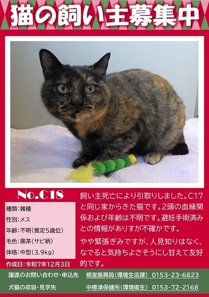 飼い主募集中猫C18のポスター