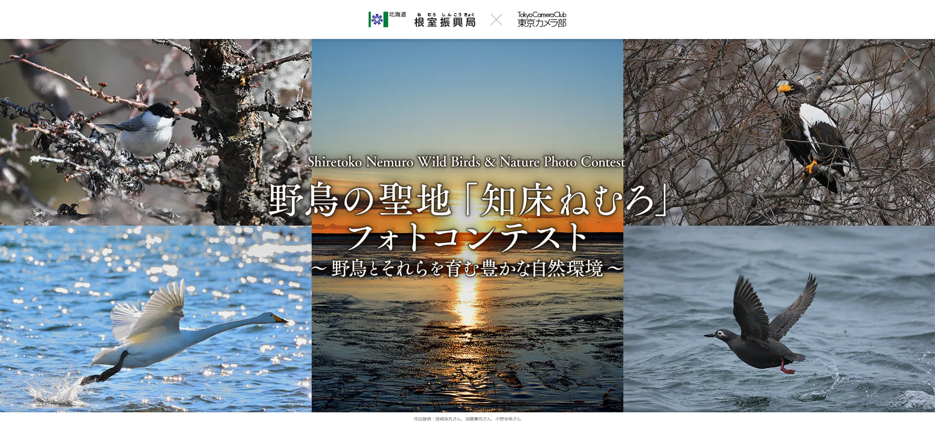 KV写真(5作品バージョン) (PNG 2.34MB)