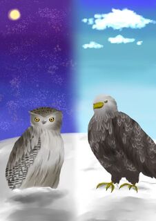 シマフクロウとオジロワシ（第９回北のまんが大賞応募作品）