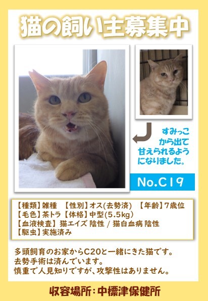 C19ポスター (JPG 67KB)