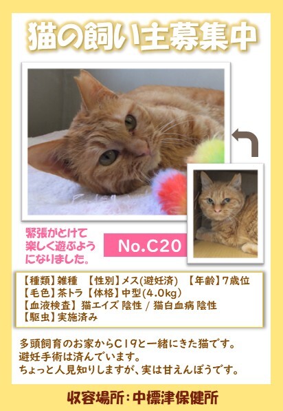 C20ポスター (JPG 68.1KB)