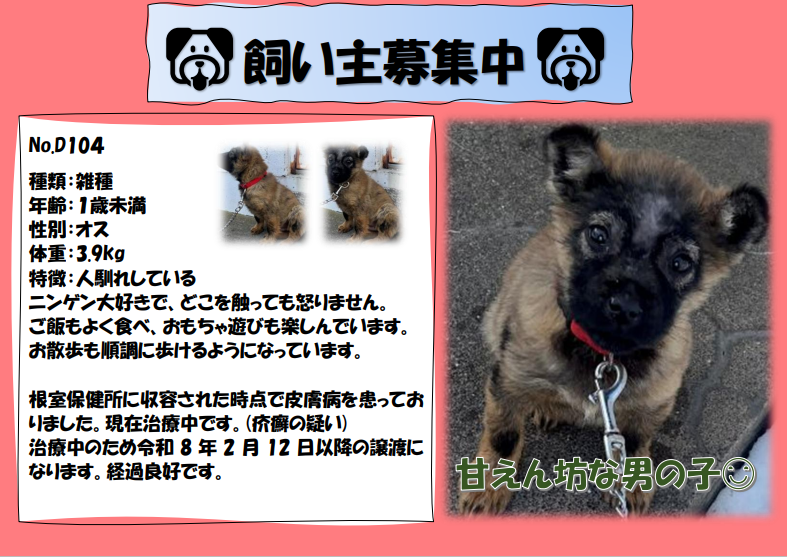 スクリーンショット 2026-02-05 143537.png