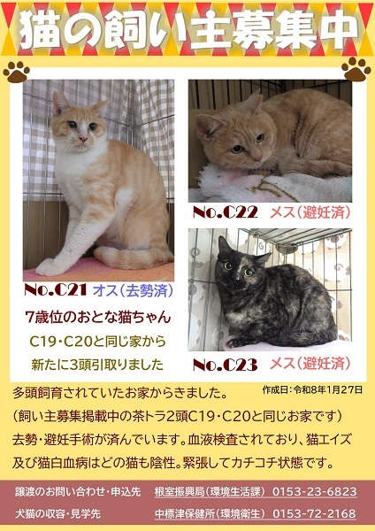 飼い主募集中猫C21C22C23のポスター