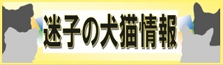 迷子の犬猫情報