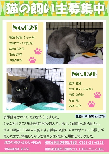 飼い主募集中猫C25C26のポスター