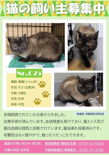 飼い主募集中猫C25のポスター