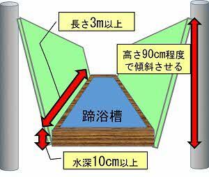 蹄浴槽設置図