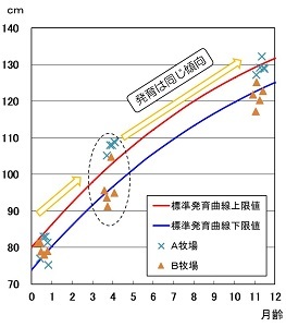 図体高調査結果