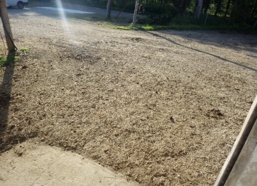 写真2　牛舎出入り口に泥濘化対策を行う農場