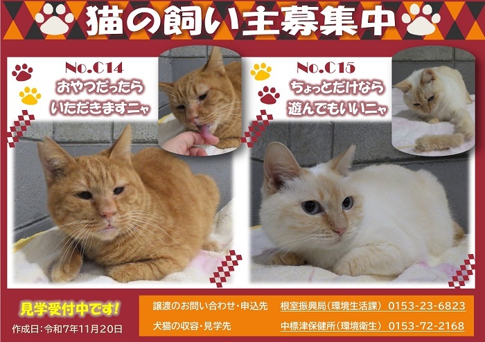 飼い主募集中猫C14&C15のポスター
